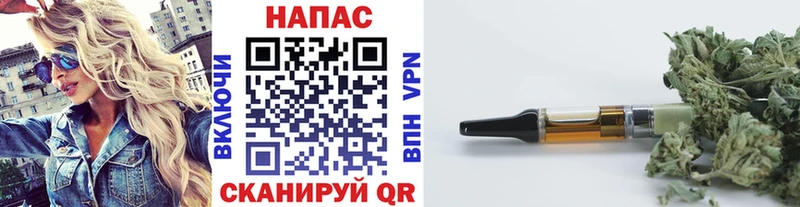 Канабис конопля Боровск